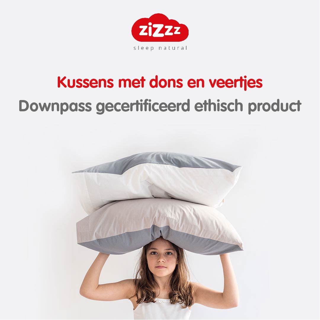 Donzen kussens