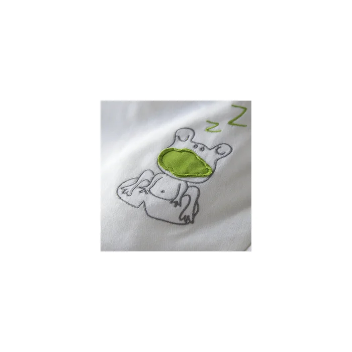 Motief Groene kikker - Zizzz