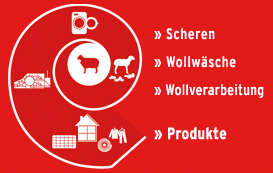 Sheep to Shop Graph